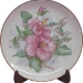 plate-1.jpg